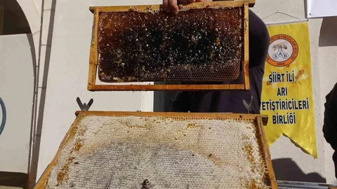 Siirt'te Arıcılara Destek Paketi Açıklandı