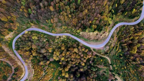 Sonbahar Çam Dağı'nı Sarmış Durumda
