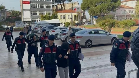 Aydın'da Zeytin Hırsızlığı Olayı