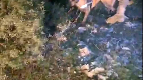 Muğla'da Uyuşturucu Operasyonu