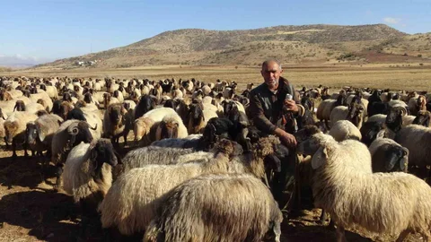 Gercüş'te Göçerlerin Zorlu Yolculuğu