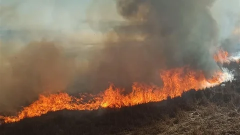 Beyşehir’de Sazlık Yangınları Kontrol Altında