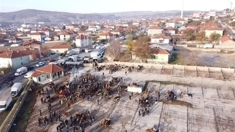 Yozgat'ta Hayvan Pazarı Yeniden Açıldı