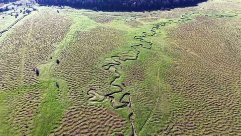 Karagöl Yaylası'nın Doğal Güzellikleri