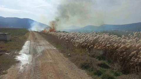 Bucak'ta Sazlık Yangını Çıktı
