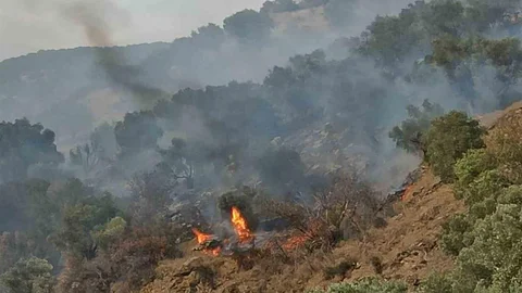 Bozdoğan'da Orman Yangını Yaşanıyor