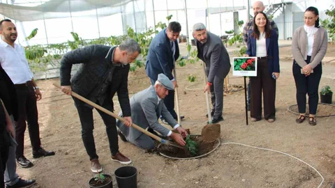 Çocuklara Sağlıklı Yaşam Eğitimi