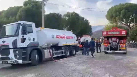 Aydın'da Zirai Yangın Ormana Sıçradı