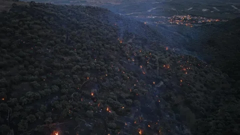 Bozdoğan Yangını Kontrol Altına Alındı