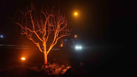 Elazığ'da Yoğun Sis Etkili Oldu