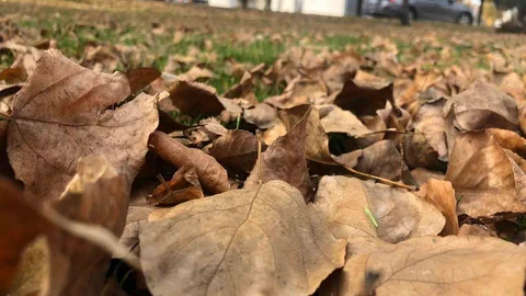 Eskişehir'de Sonbahar Manzaraları