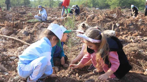 Kepezli Minikler Orman Alanına Fidan Dikti