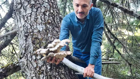 Konya'da Mantar Avı Tehlikeleri