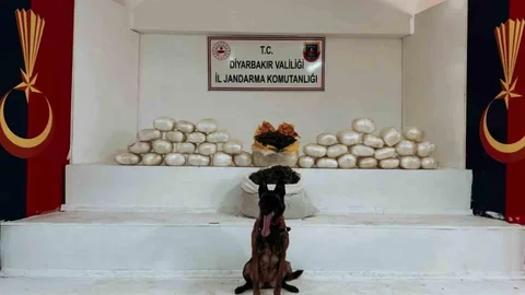 Diyarbakır'da Uyuşturucu Operasyonu