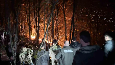 Ordu'da Orman Yangını Çıktı