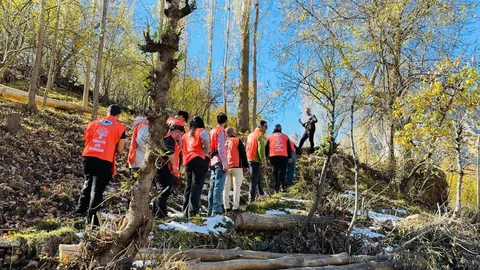 Yüksekova'da Fidan Dikme Etkinliği