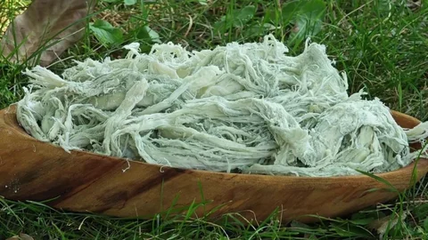 Erzurum'un Doğal Antibiyotiği: Göğermiş Peyniri