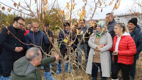 Elazığ'da Ağaç Budama Eğitimi Verildi