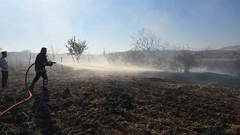 Adıyaman'da Tarlada Yangın Çıktı