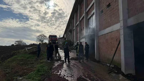 Sakarya'da Tavuk Çiftliğinde Yangın Çıktı