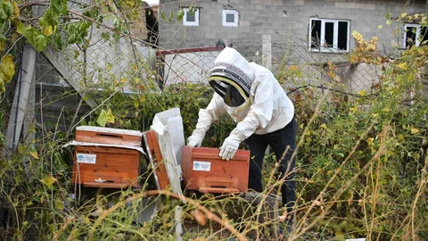 Kayseri'de Arıcılığa Destek Projesi Teşekkürü
