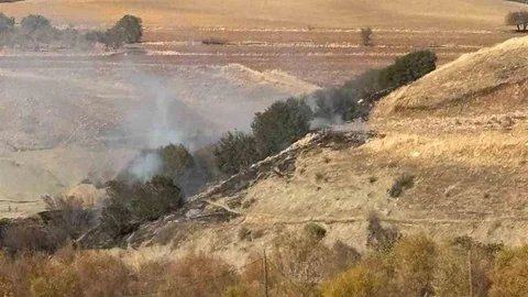 Adıyaman'da Orman Yangını Kontrol Altına Alındı
