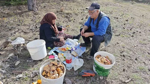 Kütahya Hisarcık'ta Yaşlı Çiftin Mantar Toplama Geleneği