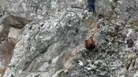 Burdur'da Mahsur Kalan Keçiler Kurtarıldı