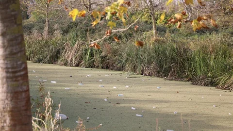 Karasu'da Su Kanalı Çöplüğe Döndü