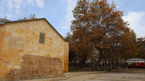 Ahi Evran Külliyesi'nde Sonbahar Güzelliği