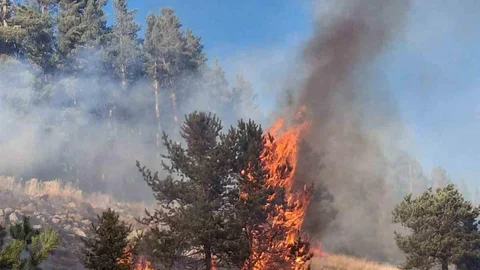 Erzurum'da Orman Yangını Kontrollü Hale Getiriliyor
