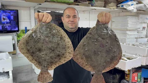 Karadeniz'de Hamsi Bereketi Yaşanıyor