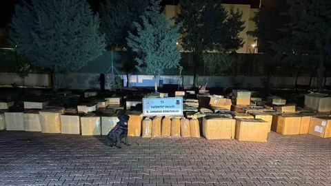 Gaziantep'te Kaçak Tütün Operasyonu