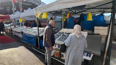 Zonguldak'ta Hamsi Yerini Diğer Balıklara Bırakıyor