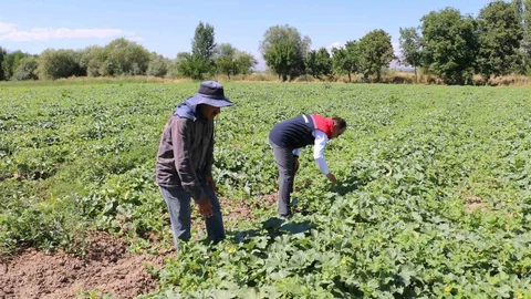 ÇKS Başvuruları Erzincan'da Sona Eriyor