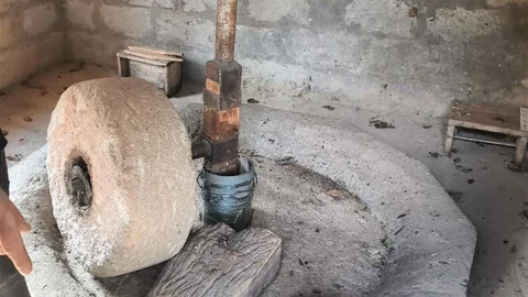 Ardanuç'taki 80 Yıllık Değirmen Faaliyetini Sürdürüyor