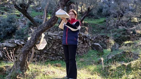 Söke'de Zararlı Popülasyon Artışı Tespit Edildi