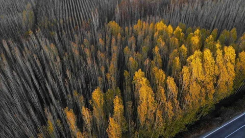 Savur'un Doğal Güzellikleri Ziyaretçileri Ağırlıyor