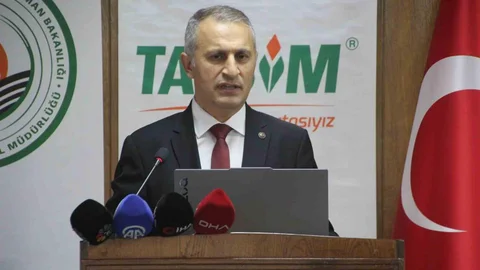 Ordu Türkiye’nin En Fazla Bal Üreten İli