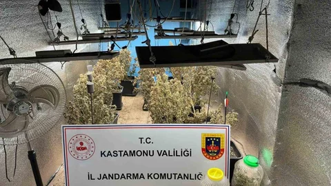 Kastamonu'da Kenevir Yetiştirenler Yargılanıyor