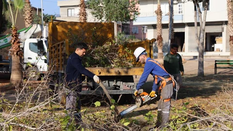 Toroslar Belediyesi’nden Yeşil Alanlara Kış Bakımı: Budama Çalışmaları Aralıksız Devam Ediyor