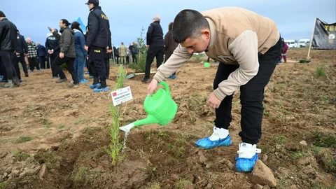 Edirne'de Fidan Dikimi Etkinliği