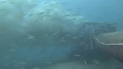 Çanakkale'de Dalgıç Atık Su Görüntüledi