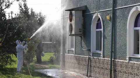 Samsun'da Kahverengi Kokarca Mücadelesi