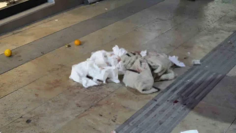 Gümüşhane'de Bıçaklı Saldırı Olayı