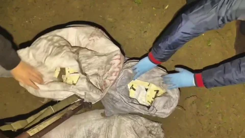 Hatay'da Zeytin Bahçesinde Uyuşturucu Hap Ele Geçirildi