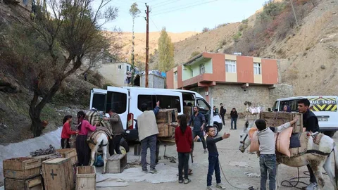 Diyarbakır Kırsalında Eşeklerle Ulaşım Sağlanıyor