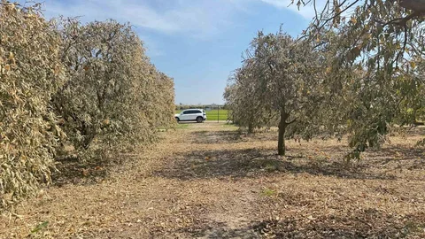 Greyfurt Üreticilerine Destek Çağrısı