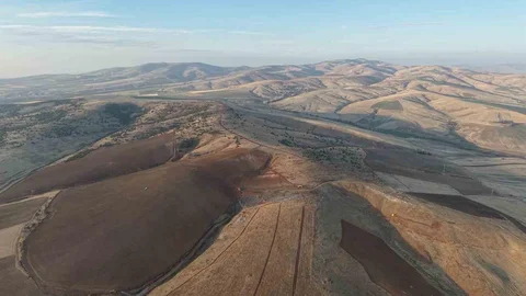 Kırıkkale'de Ağaç Kesimi Tepkileri