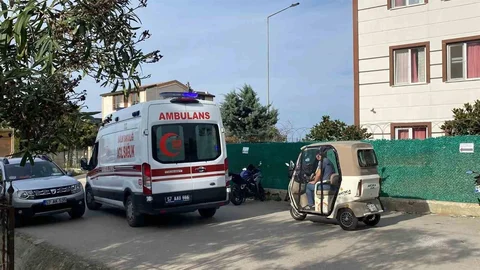 Sinop'ta Ağaç Budarken Düşme Olayı